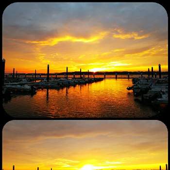 湖の夕焼けの画像 by lucky514さん | お出かけ先と５月と湖の夕焼けとGS映えとGS日和とマルプーラッキー散歩とマリーナの夕日と湖の夕景