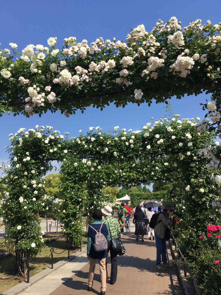 ミント☆さんの山下公園への投稿