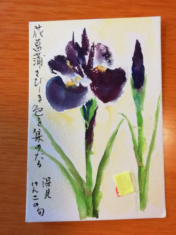 菖蒲 ショウブ の投稿画像 By くまちゃんさん 絵手紙と描いてみよう 19月5月12日 Greensnap グリーンスナップ