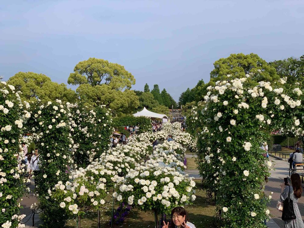 hi-kissさんの山下公園への投稿