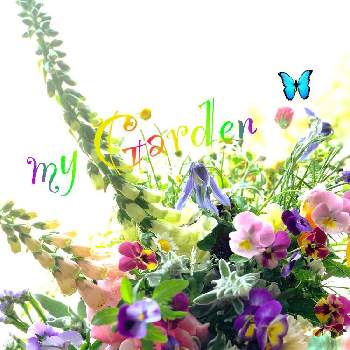 クレマチスヘンダーソニー☆の画像 by イングリッシュガーデンさん | 窓辺とジギタリスとバラとクレマチスヘンダーソニー☆とEG花あそびとかわいい♡と切り花を楽しむとGS映えと綺麗なお花とお庭の植物と花あそび♡と花あそびと可愛いと花のある暮らしと色合いがキレイと切り花と『窓辺に飾られた植物』フォトコンテスト