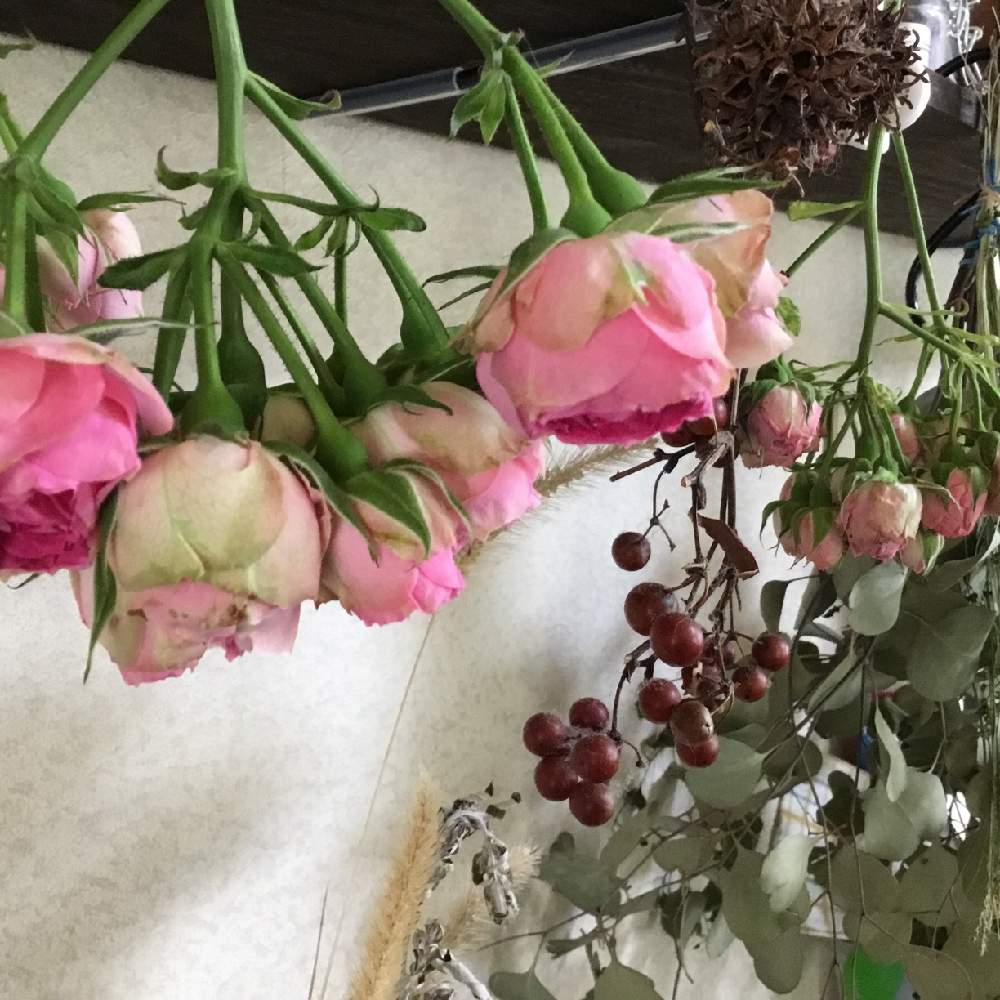 ナチュラルドライフラワーにの投稿画像 By ちょこさん 庭の花木とドライフラワー向きと花のある暮らしとバラ ミニバラとかわいい花 19月5月17日 Greensnap グリーンスナップ