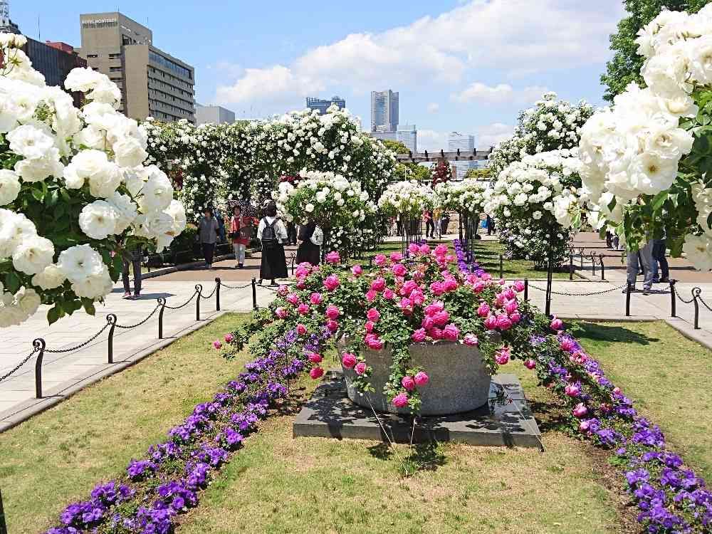 non-sugarさんの山下公園への投稿