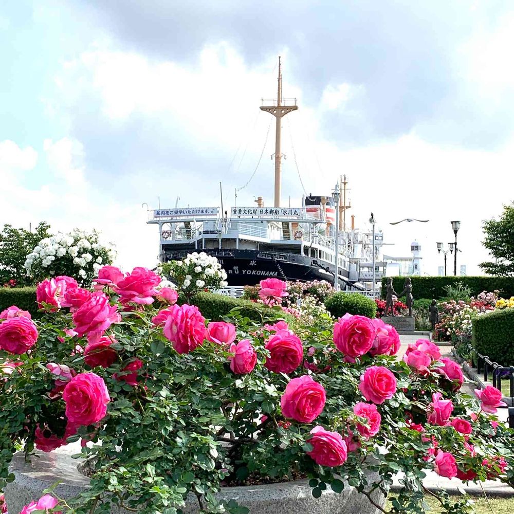 はにょほさんの山下公園への投稿