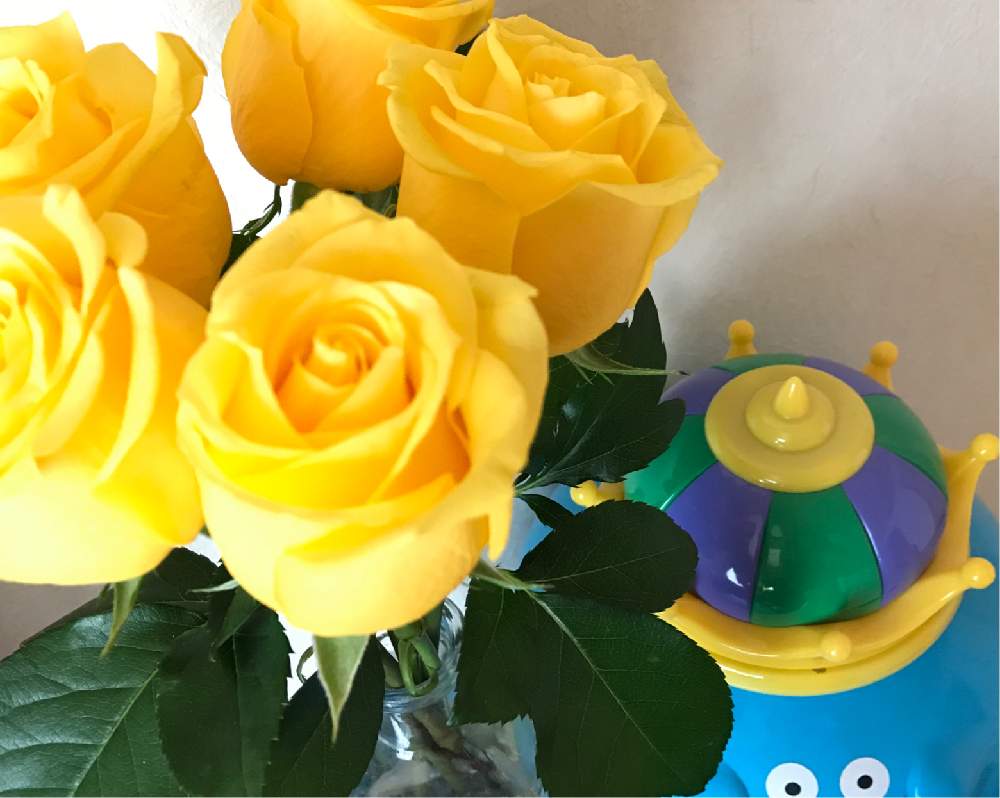 黄色いバラの投稿画像 By まひろんさん 薔薇 と花のある暮らしと薔薇 19月5月18日 Greensnap グリーンスナップ