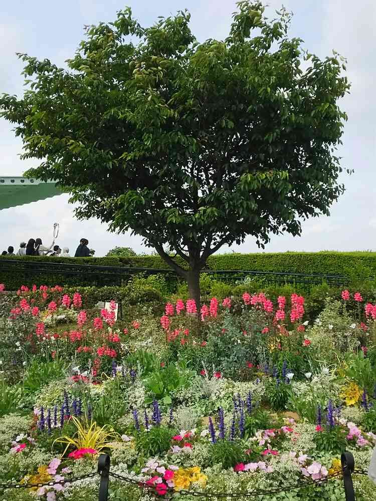 冂-keiさんの港の見える丘公園への投稿