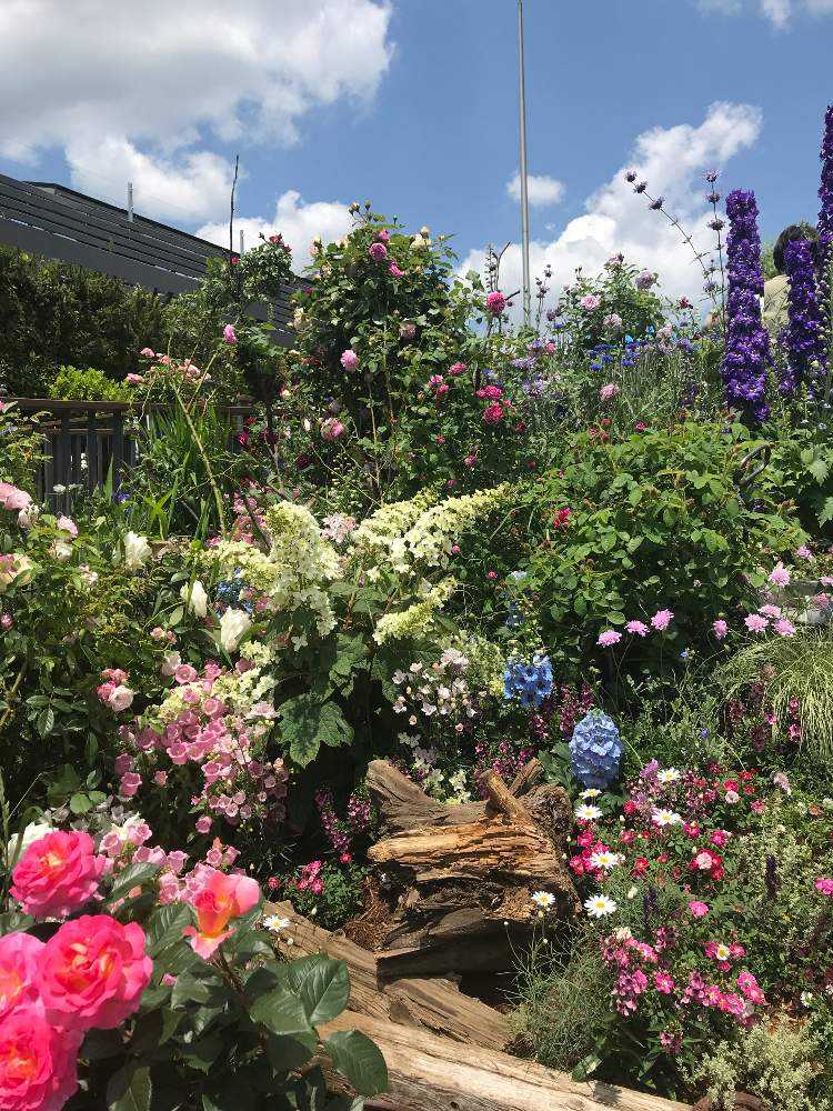 池袋西武 屋上庭園へ Greensnap グリーンスナップ