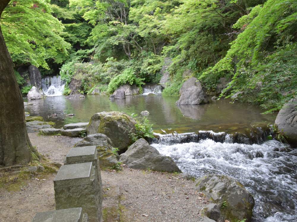日本庭園の投稿画像 By Senchanさん 万博記念公園と木漏れ日の滝 19月5月日 Greensnap グリーンスナップ