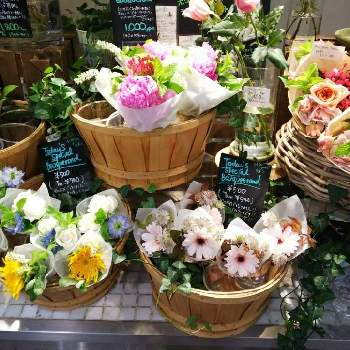 池袋駅esolaの投稿画像一覧 Greensnap グリーンスナップ 池袋駅esolaの投稿画像一覧 Greensnap グリーンスナップ