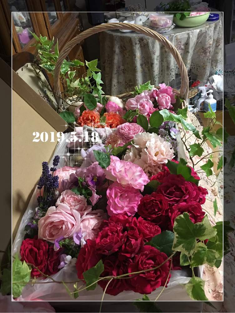 庭の花でアレンジの投稿画像 By ミーシャさん お気に入り室内ボタニカルスポット 19月5月22日 Greensnap グリーンスナップ