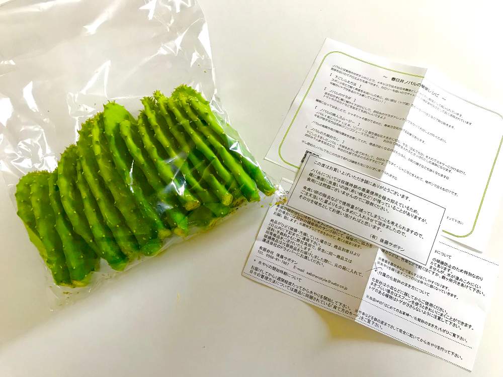 食用サボテン 春日井ノパル 栽培 調理 Greensnap グリーンスナップ