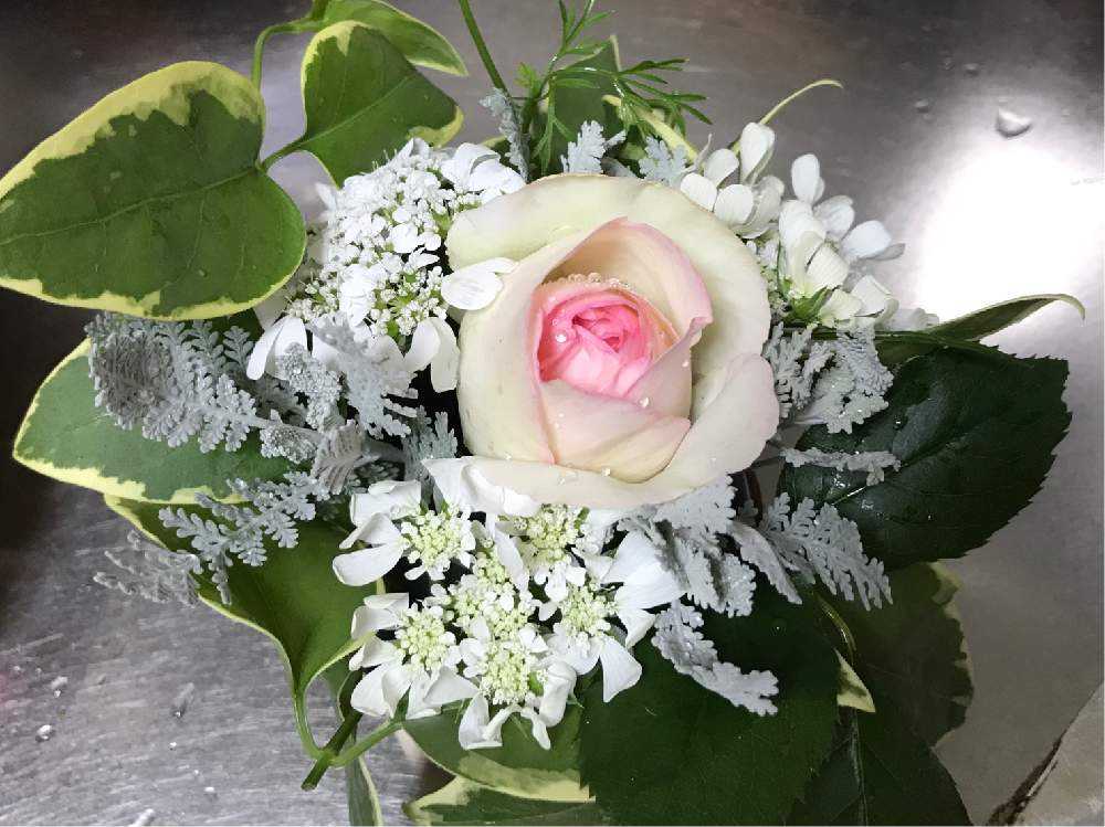 超初心者向け ペットボトルと牛乳パック使ってフラワーアレンジメントを作ってみた ٩ ˊᗜˋ و Greensnap グリーンスナップ