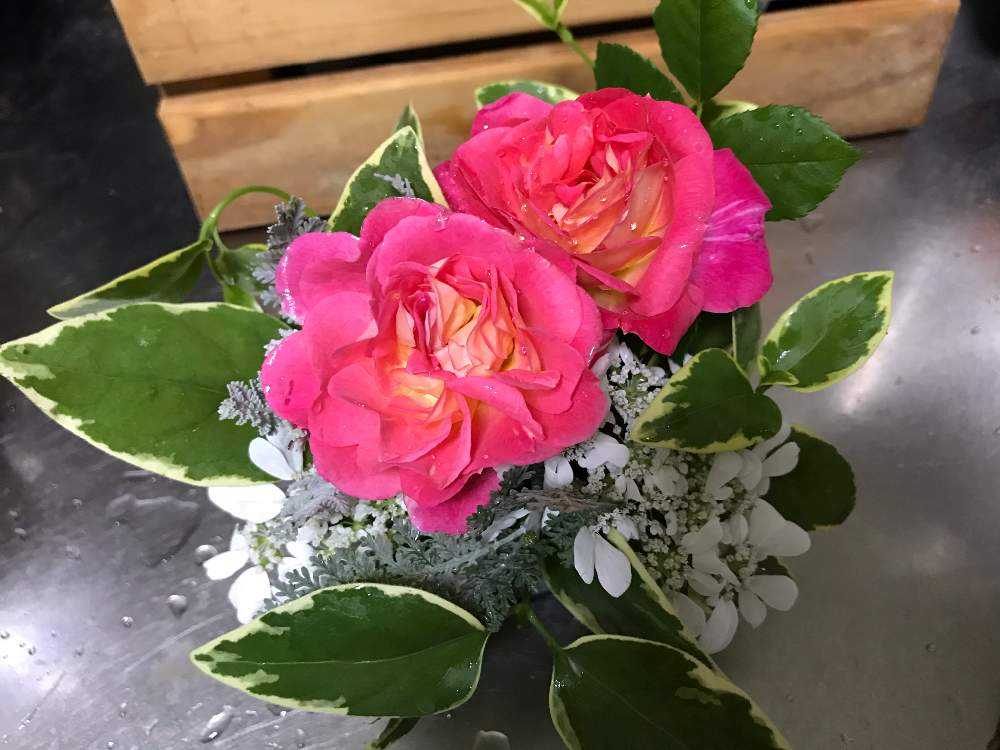 超初心者向け ペットボトルと牛乳パック使ってフラワーアレンジメントを作ってみた ٩ ˊᗜˋ و Greensnap グリーンスナップ