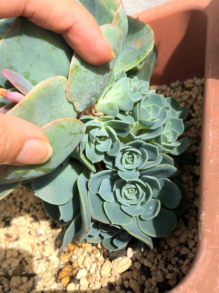 1559112752342_thum_723799_phot