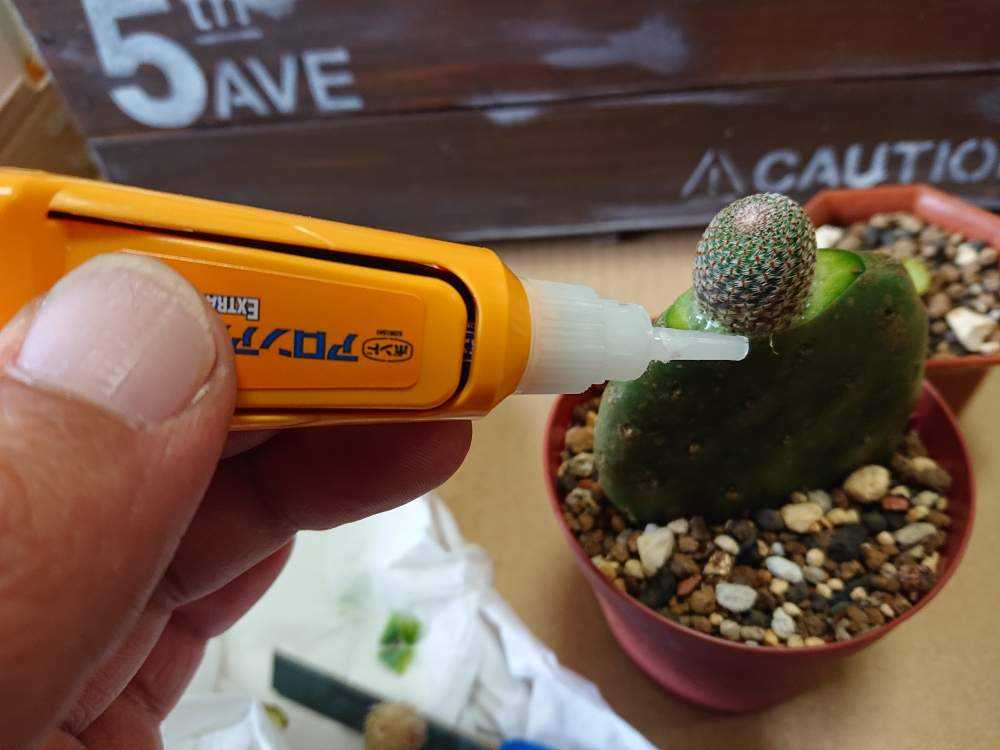 1559129663140_thum_885407_2019