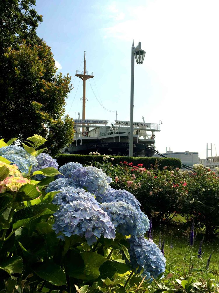 みみさんの山下公園への投稿