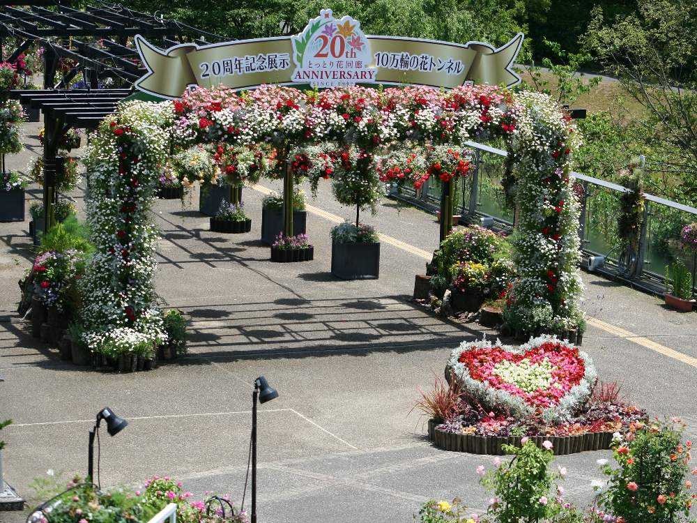 とっとり花回廊薔薇まつり編 Greensnap グリーンスナップ