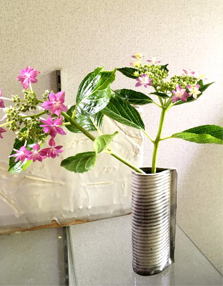 一輪挿しの投稿画像 By ツバキさん 花のある暮らしと自己流と手作り花瓶 19月6月1日 Greensnap グリーンスナップ