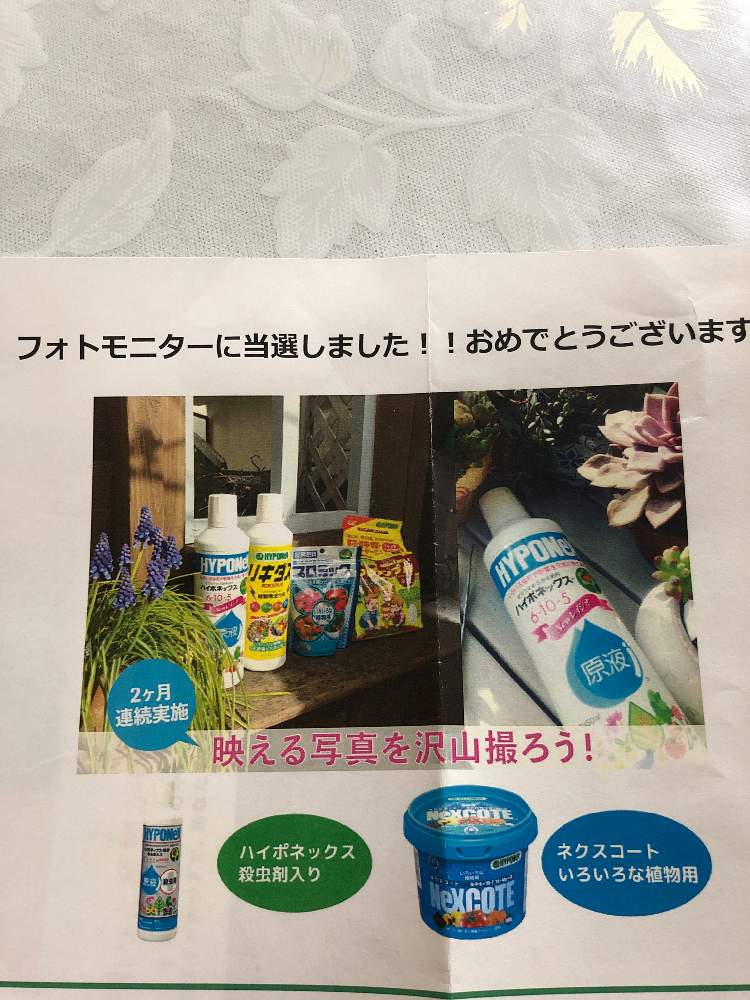 ハイポネックスフォトモニター Greensnap グリーンスナップ