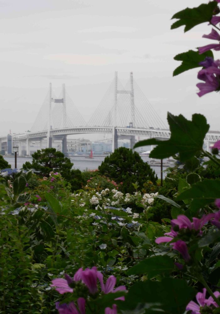 グリーンさんの港の見える丘公園への投稿