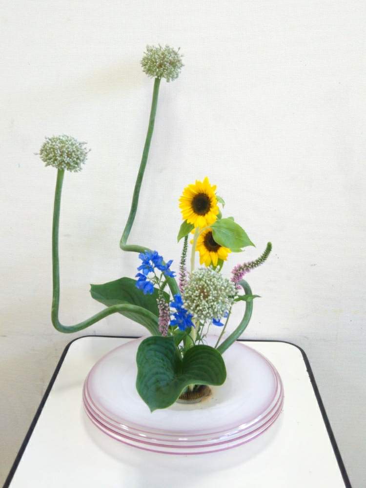 オカトラノオの投稿画像 By 圭さん ギボウシとヒマワリとデルフィニウムとアリアムリーキと青い花とお稽古と自由花といけばなと花のある暮らしと青い花マニアと生け花と サンリッチひまわり 19 コンテストと青い花とお稽古と自由花といけばなと花のある暮らしと青い