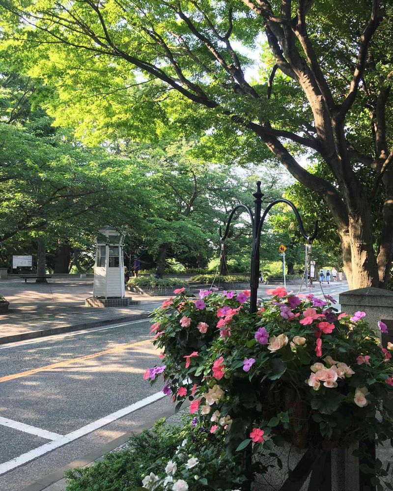 petitcoeur4さんの中区への投稿