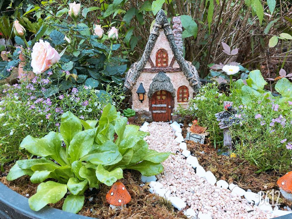ミニチュアガーデンの投稿画像 By みゆきさん 箱庭作りと手作りの庭とフェアリーガーデンと花のある暮らし 19月6月8日 Greensnap グリーンスナップ