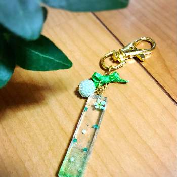 レジンキーホルダーの投稿画像一覧|🍀GreenSnap(グリーンスナップ)