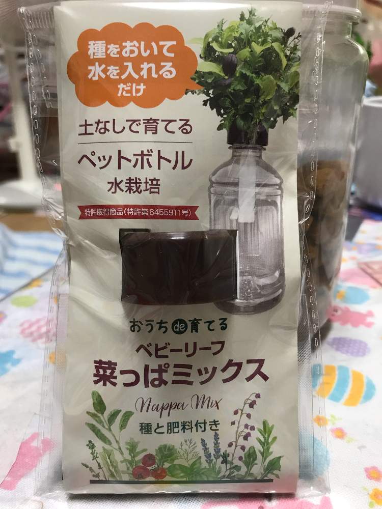 ペットボトル水栽培 Greensnap グリーンスナップ