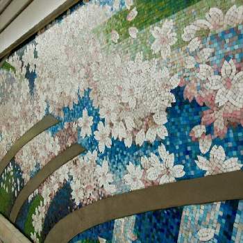 『窓辺に飾られた植物』フォトコンテストの画像 by シェルマンさん | 壁/天井と花のある暮らしと『窓辺に飾られた植物』フォトコンテスト