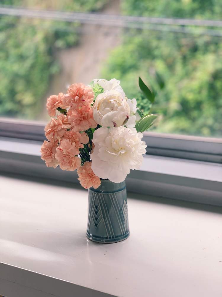 カーネーションの投稿画像 By Yurikaさん シャクヤクと切り花と職場と花のある暮らし 19月6月19日 Greensnap グリーンスナップ