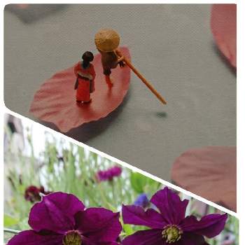黒の花の画像 by syamunekoさん | 小さな庭とクレマチス ロマンチカと花のある暮らしとお花大好き♡と黒の花