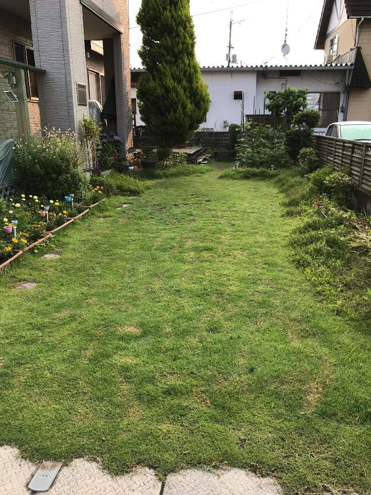 小さな庭の投稿画像 By えーさくさんさん 芝生の庭と芝生の庭 19月6月22日 Greensnap グリーンスナップ Greensnap グリーンスナップ 小さな庭の投稿画像 By えーさくさんさん 芝生の庭と芝生の庭 19月6月22日 Greensnap グリーンスナップ Greensnap グリーンスナップ