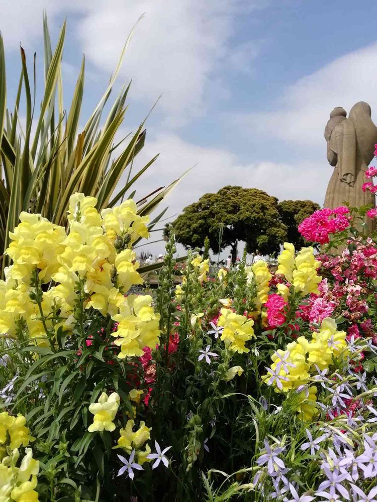 喫茶こもれびさんの山下公園への投稿