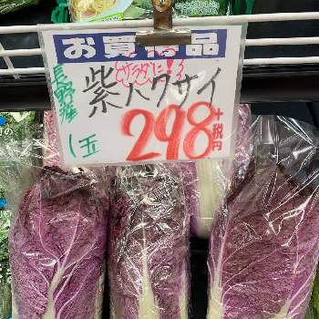 紫白菜の画像 by 光葉さん | お出かけ先と紫白菜
