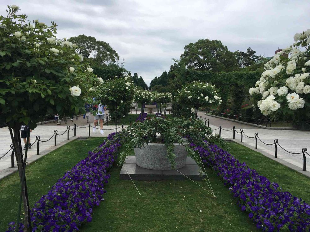 おじゃがさんの山下公園への投稿