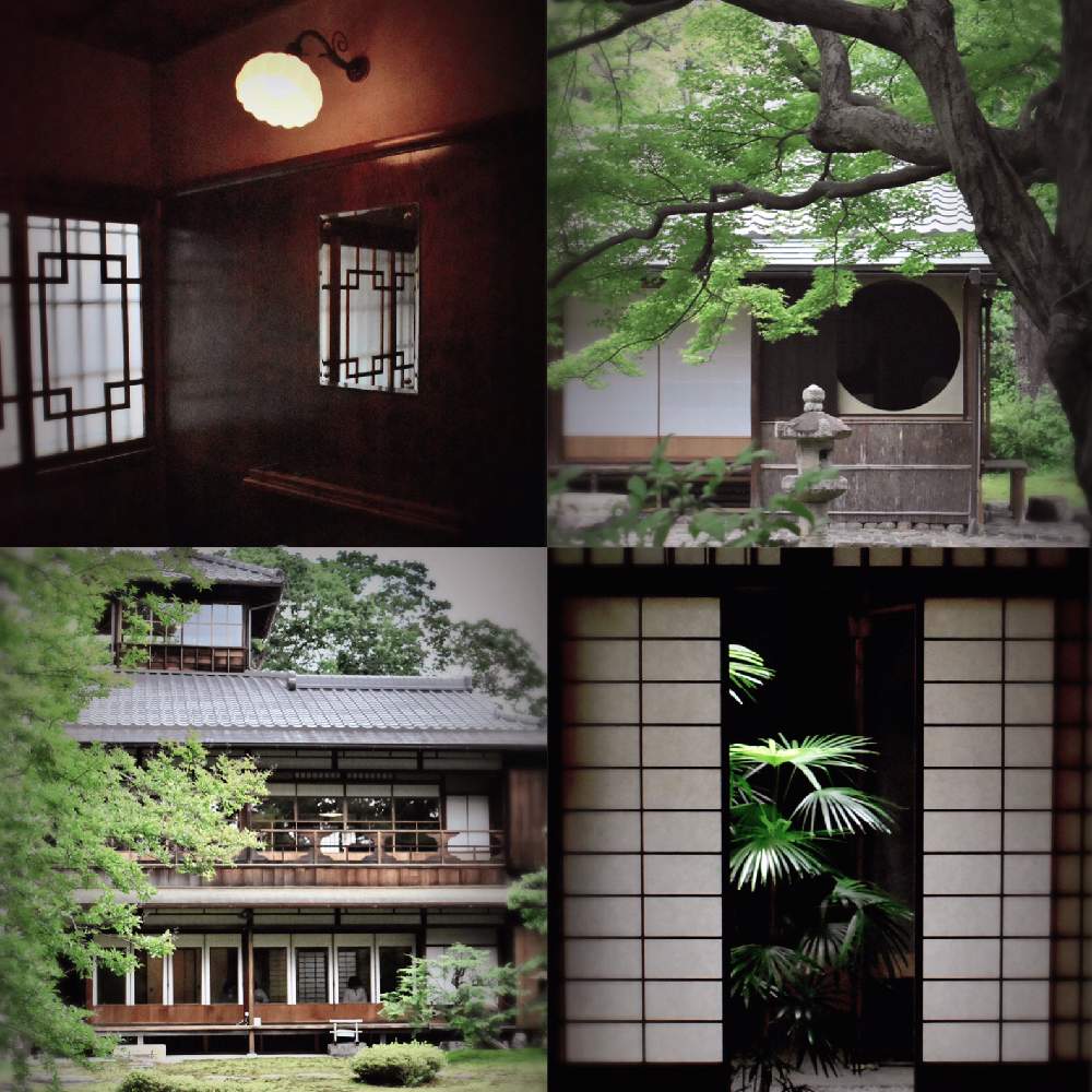 日本庭園の投稿画像 By K Wreathさん 新緑と花のある暮らしとシュロチク と棕櫚竹 とお出かけ先と雲南棕櫚竹と日本庭園と新緑と花のある暮らしと シュロチク と棕櫚竹 と雲南棕櫚竹 19月6月24日 Greensnap グリーンスナップ Greensnap グリーンスナップ