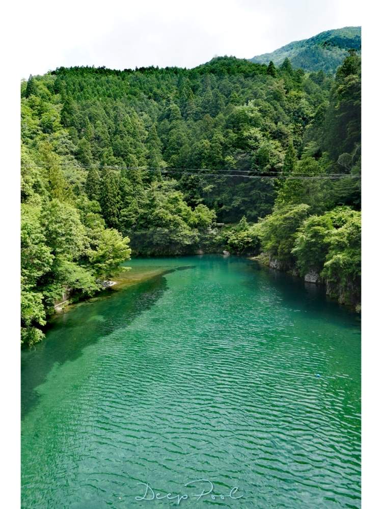 モネの池の投稿画像 By Toshi722さん 関市と清流風景と岐阜県と板取川と綺麗な緑 と澄んだ水と板取旅行日記 19月6月24日 Greensnap グリーンスナップ