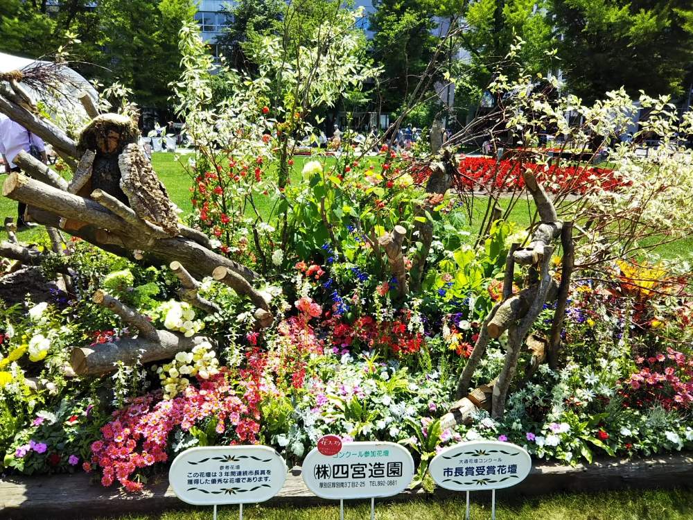 No Green No Lifeの投稿画像 By Askさん 緑のある暮らしと花のある暮らしと北海道の庭と北海道と北海道の自然とgreen Up 19月6月26日 Greensnap グリーンスナップ