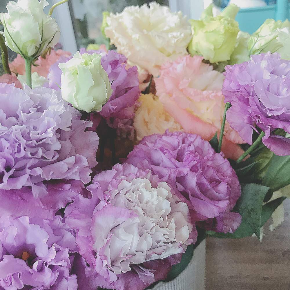 トルコキキョウの投稿画像 By Nicoさん 切り花とフラワーアレンジメントと花のある暮らし 19月6月27日 Greensnap グリーンスナップ