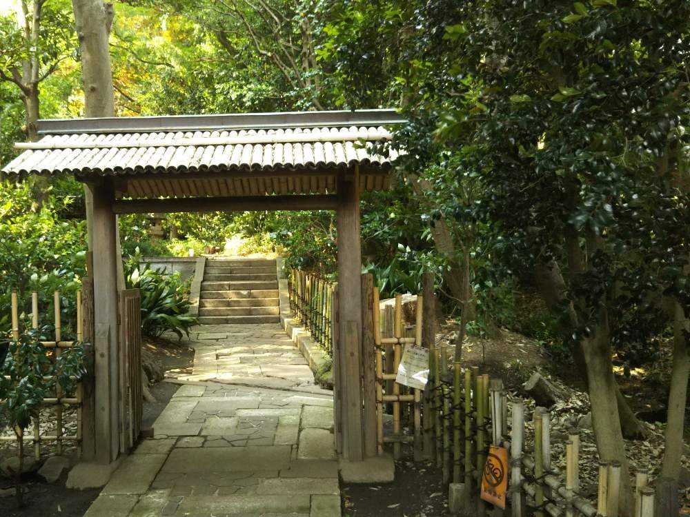 小金井のコケ湧水源 東京の名湧水57選 美術の森緑地 Greensnap グリーンスナップ
