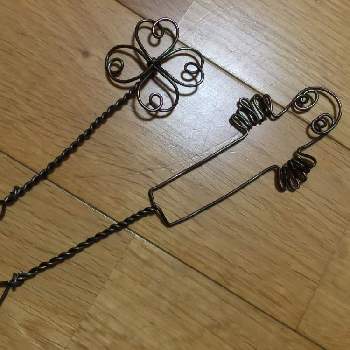 ワイヤーピックの投稿画像一覧 Greensnap グリーンスナップ