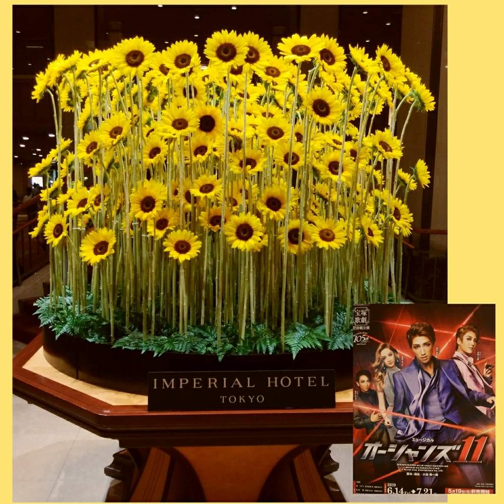 ヒマワリの投稿画像 By ルビーさん レザーファンと宝塚と帝国ホテルと被災地にエールを と東京宝塚劇場と サンリッチひまわり 19 コンテストと 帝国ホテルのロビーのお花 19月7月2日 Greensnap グリーンスナップ