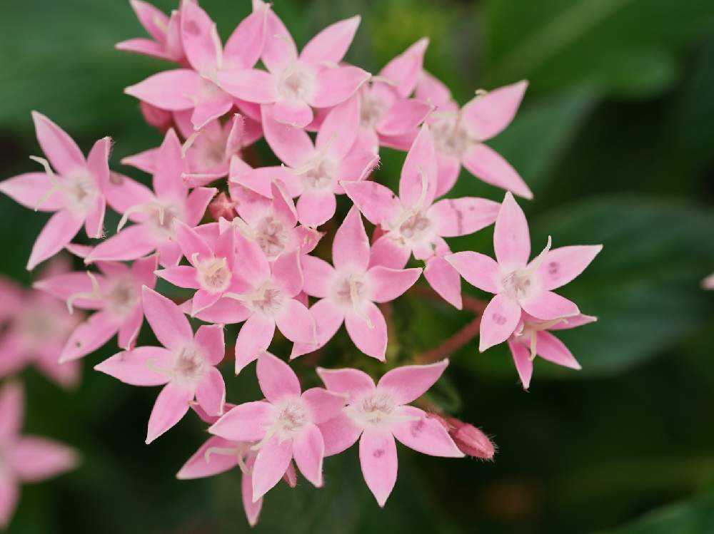 Dadfpmh61h9tr Cloudfront Net 19 07 06