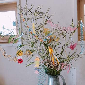 季節行事の投稿画像一覧 Greensnap グリーンスナップ