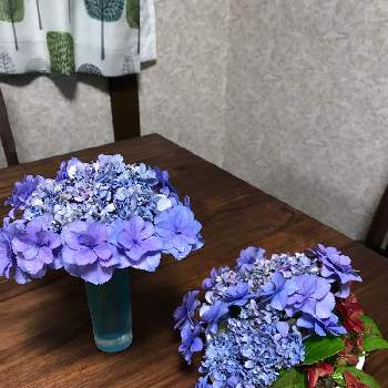 greensnap グリーンスナップ