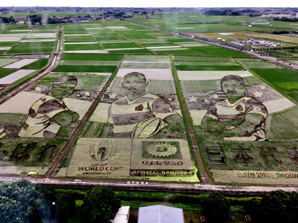 古代蓮の里の投稿画像 By ぐれこさん 埼玉県行田市と田んぼアート 19月7月7日 Greensnap グリーンスナップ