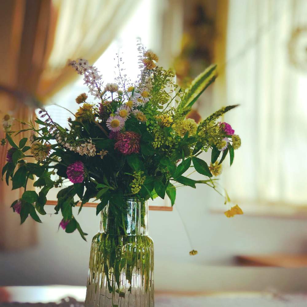 ナチュラルが好きの投稿画像 By つきゆずさん 前向きにとタンポポ とねこじゃらし とペンペン草とアカツメクサ と癒されるとクローバー と笑顔になれる とさわやかな花と花のある暮らしと小さな花と夏でも元気な花フォトコンとハルジオン とダイニングテーブルと今日