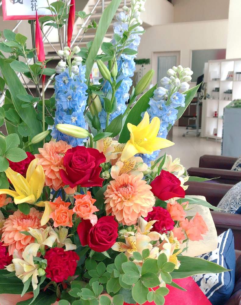 すべての美しい花の画像 無料印刷可能ドウダンツツジ 花屋