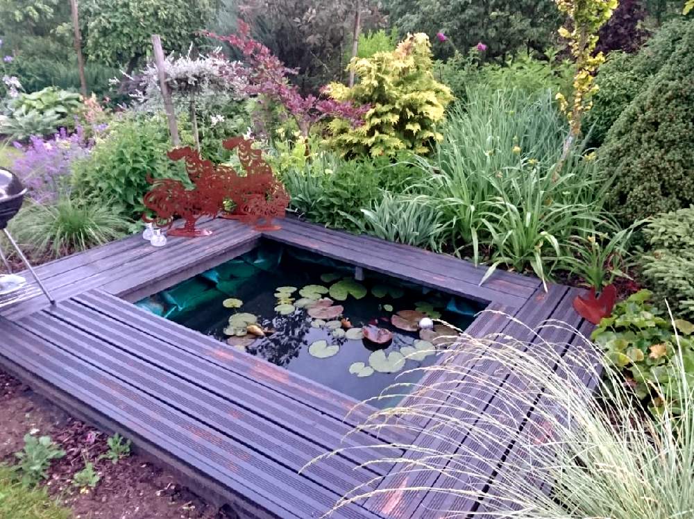 知人の庭の投稿画像 By Melodyさん 池のほとりとラトビアと池のある風景 19月7月9日 Greensnap グリーンスナップ